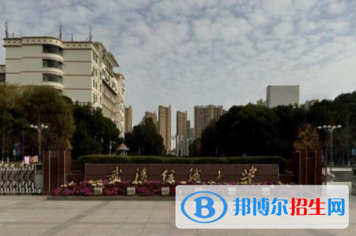 歷年武漢紡織大學2022全國排名榜(軟科+校友會）-2023參考