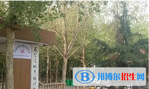 石家莊2023年男生學(xué)什么計(jì)算機(jī)學(xué)校好
