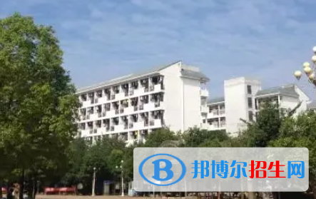 廣西2023年上計算機學校選什么專業(yè)