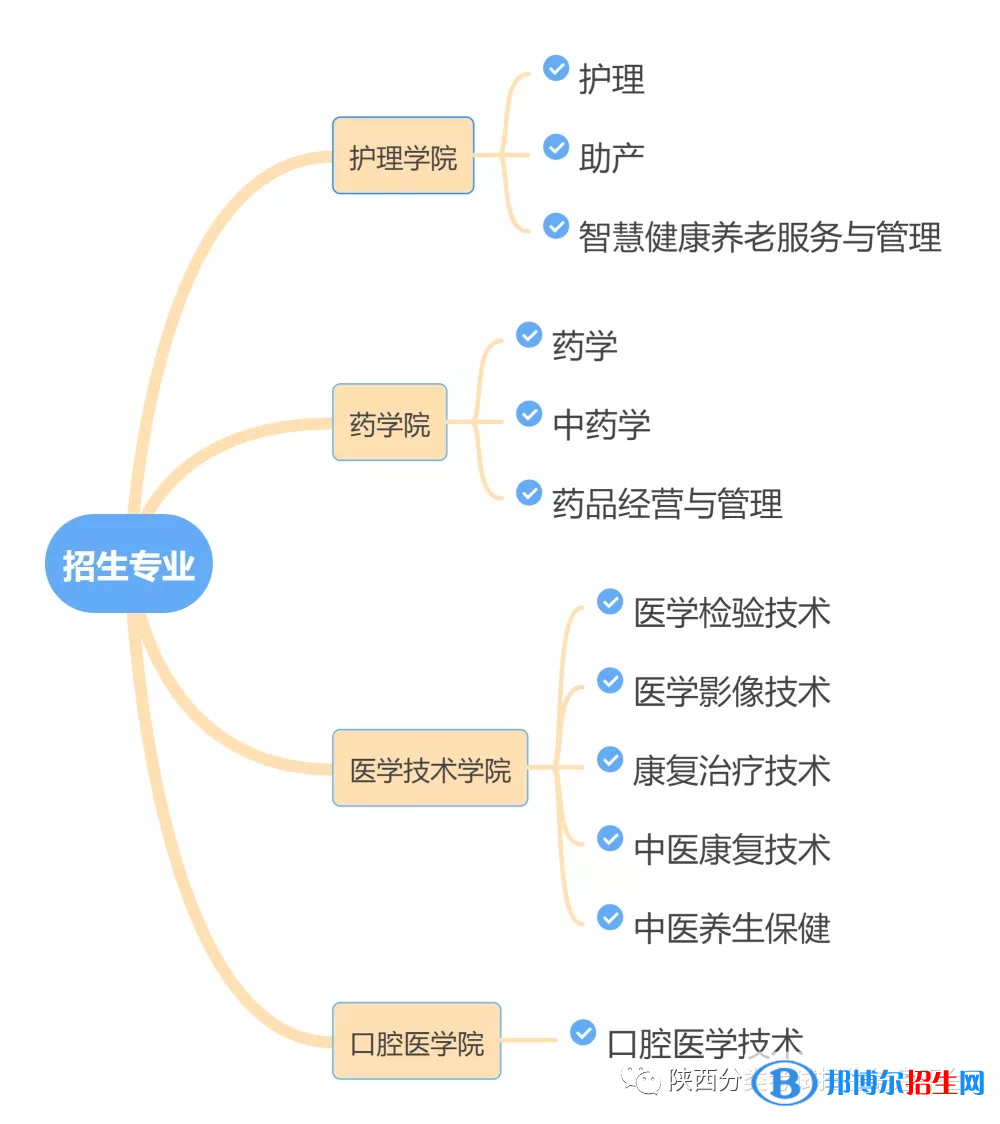 西安醫(yī)學(xué)高等?？茖W(xué)校2022分類考試招生專業(yè)有哪些？