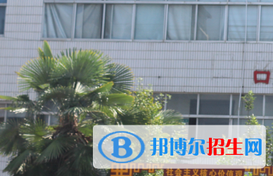 河南2023年讀衛(wèi)校哪個(gè)好
