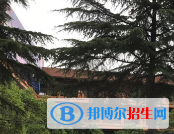 河南2023年上哪個衛(wèi)校好
