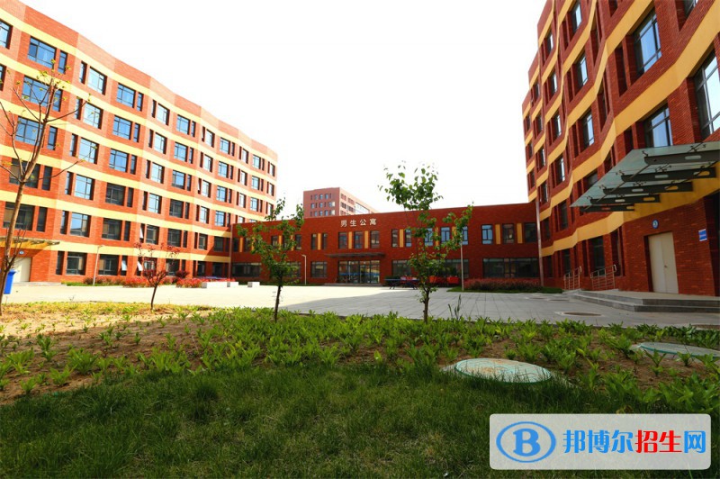石家莊2023年計(jì)算機(jī)學(xué)校是干什么的
