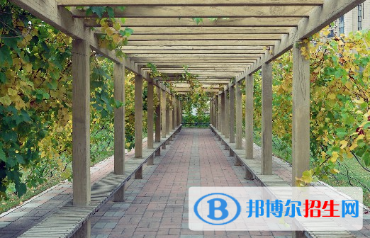 安徽2023年汽修學(xué)?？梢詫W(xué)什么