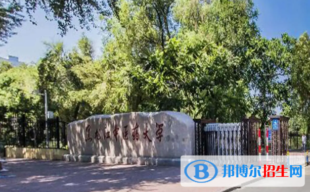 2023黑龍江文科510分左右能上什么好大學(xué)（本省大學(xué)+外省大學(xué)）