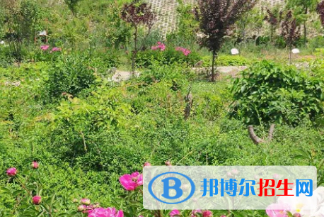 河南2023年去衛(wèi)校學什么專業(yè)好