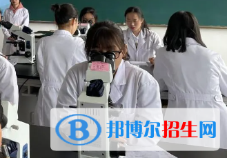 河南2023年衛(wèi)校和職高哪個(gè)好