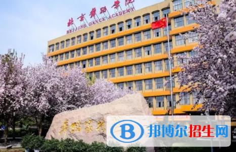 中國(guó)大學(xué)舞蹈表演專(zhuān)業(yè)排名（2022研究型）