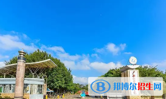 廣西單招畜牧獸醫(yī)（寵物美容與診療）專業(yè)2023年有哪些學校