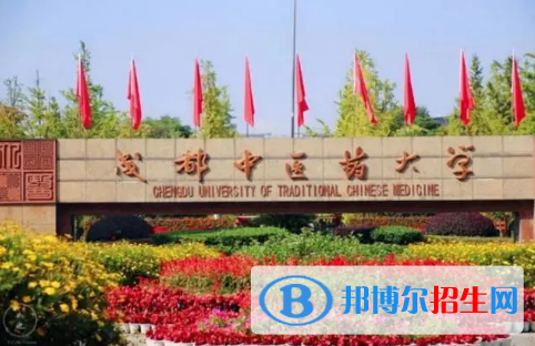 中國(guó)大學(xué)中醫(yī)兒科學(xué)專(zhuān)業(yè)排名(2022應(yīng)用型)