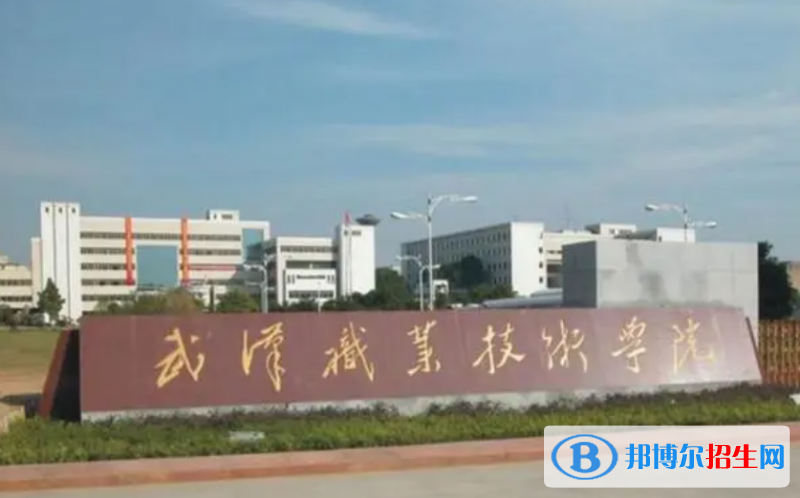 武漢職業(yè)技術(shù)學(xué)院?jiǎn)握性趺礃?？?024）
