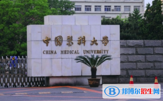 中國(guó)大學(xué)醫(yī)學(xué)影像學(xué)專(zhuān)業(yè)排名(2022應(yīng)用型)