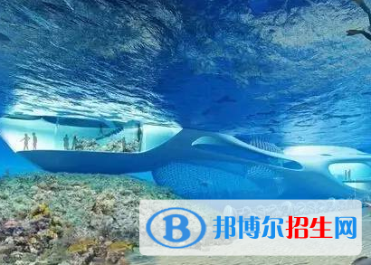 海洋科學專業(yè)好嗎?(海洋科學專業(yè))