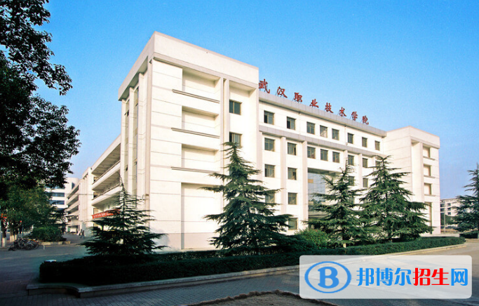 2022武漢市高職院校排名(校友會)