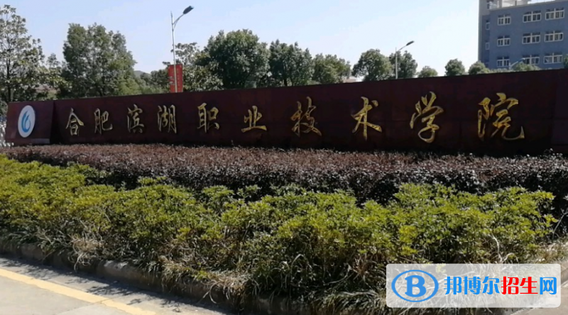 合肥濱湖職業(yè)技術學院單招怎么樣？