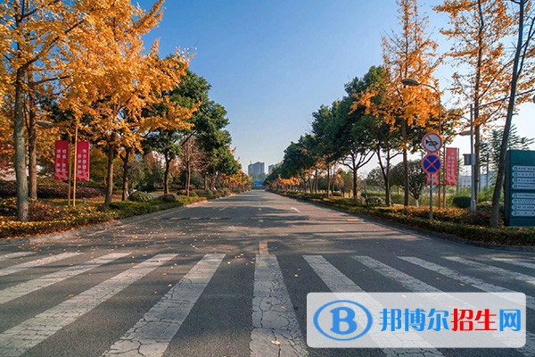 四川電力職業(yè)技術(shù)學(xué)院單招2023年招生簡章