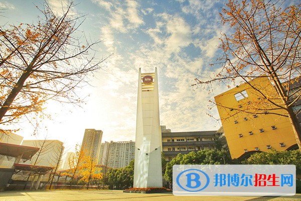 成都職業(yè)技術(shù)學院單招2023年招生簡章