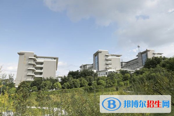 眉山職業(yè)技術(shù)學(xué)院?jiǎn)握?023年招生簡(jiǎn)章