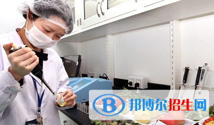 烹飪與營(yíng)養(yǎng)教育專業(yè)好嗎?(烹飪與營(yíng)養(yǎng)教育專業(yè))