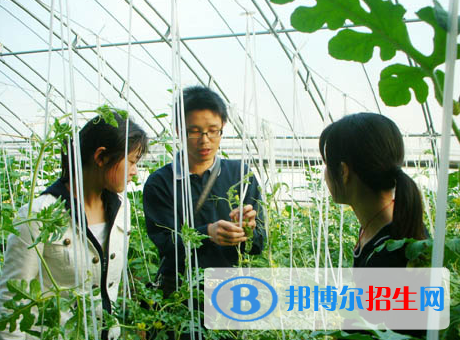 應(yīng)用生物科學(xué)專業(yè)好嗎?(應(yīng)用生物科學(xué)專業(yè))