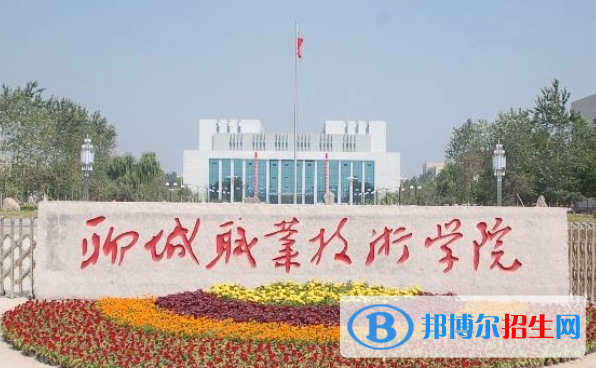 聊城職業(yè)技術學院單招怎么樣？