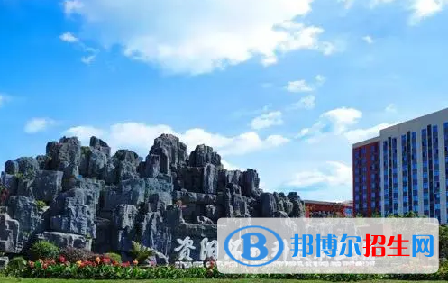 四川單招信息與媒體專業(yè)2023年有哪些學(xué)校