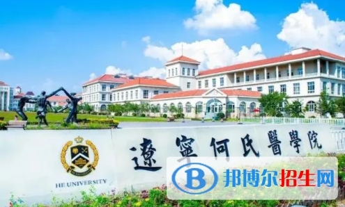 遼寧何氏醫(yī)學院是不是雙一流大學嗎？
