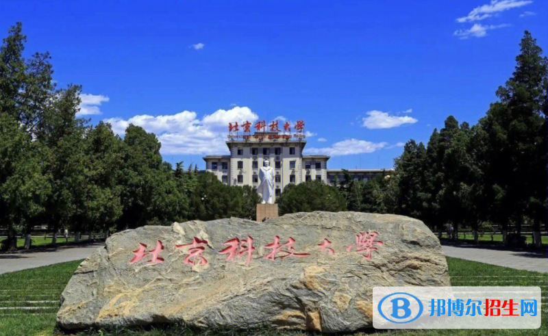 山東高考590分左右可以報(bào)考什么學(xué)校（2023報(bào)考參考）