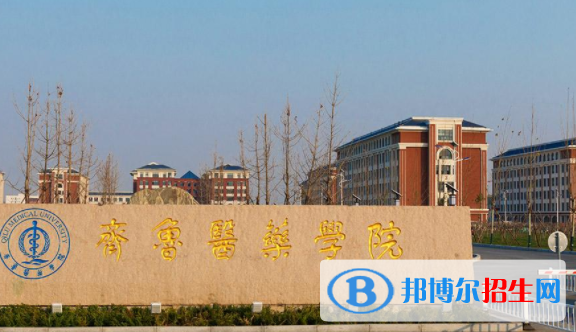 齊魯醫(yī)藥學(xué)院是不是雙一流大學(xué)嗎？