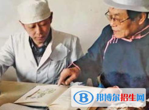 蒙藥學(xué)專業(yè)好嗎?(蒙藥學(xué)專業(yè))