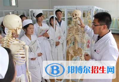 浙江2023年衛(wèi)校可以學(xué)什么