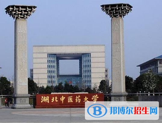 湖北醫(yī)藥類大學(xué)有哪些？(附名單)