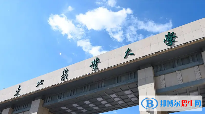 浙江高考585分左右可以報考什么學(xué)校（2023報考參考）