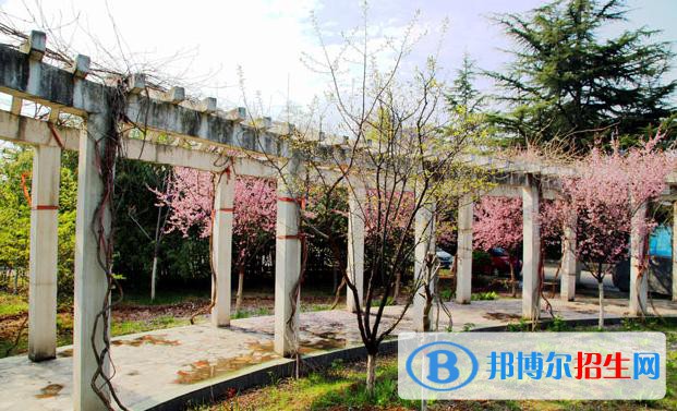 重慶2023年讀什么中專學校比較好