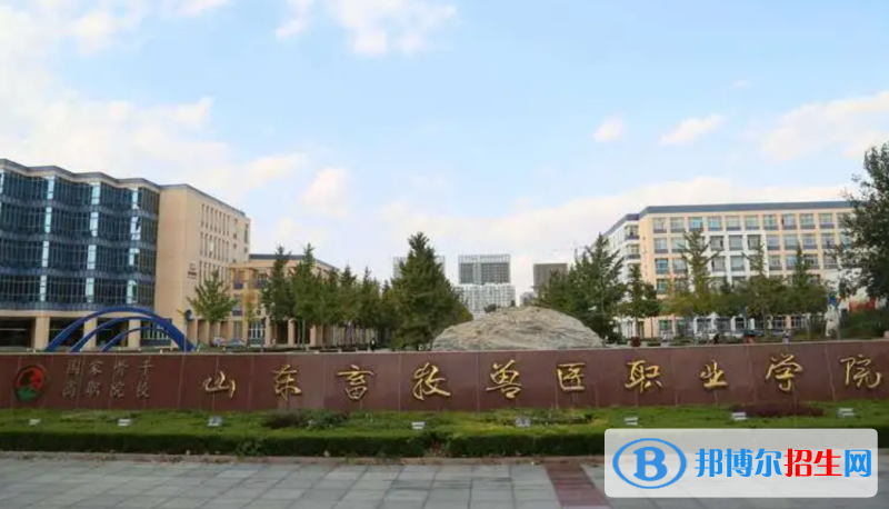 山東高考265分左右可以報考什么學(xué)校（2023報考參考）