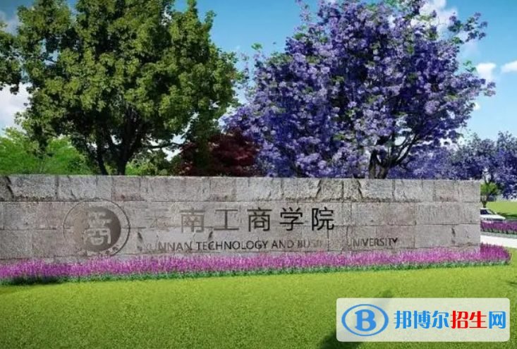 2023年云南單招民辦學校名單