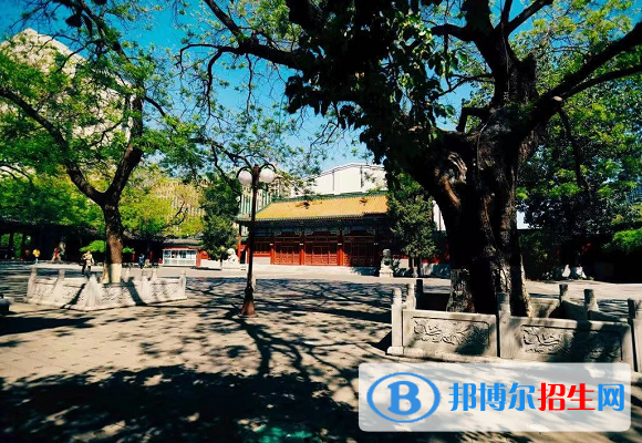 音樂學院排名2022最新排名：國內最好的音樂學院有哪些