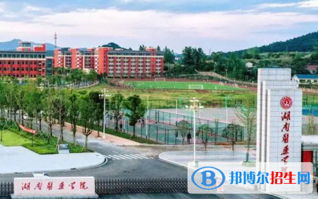 湖南醫(yī)藥學院是不是985大學？