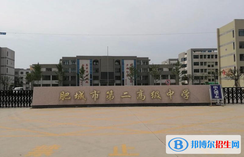 肥城二中2022錄取分?jǐn)?shù)線（2023參考）