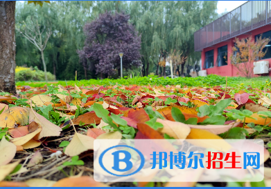 2023年西安經(jīng)開職業(yè)學(xué)校怎么樣、好不好