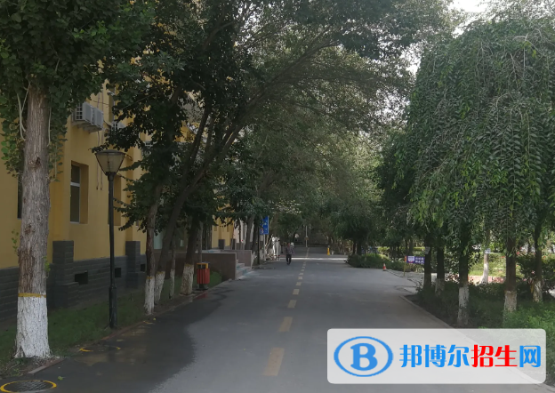 新疆林業(yè)學(xué)校怎么樣、好不好(2023參考)