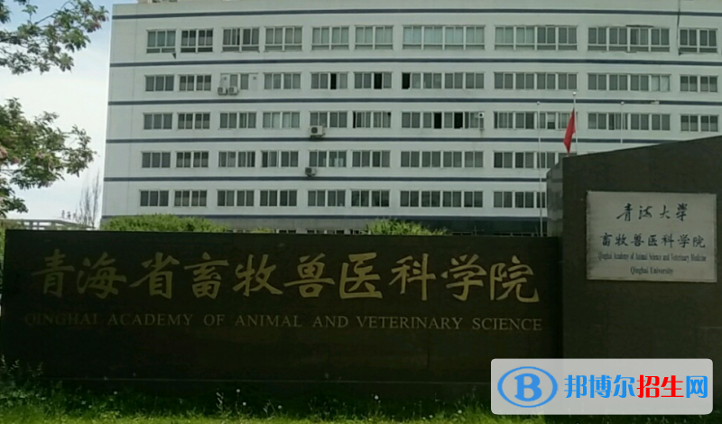 2023青海十大?？圃盒Ｅ琶挥[表
