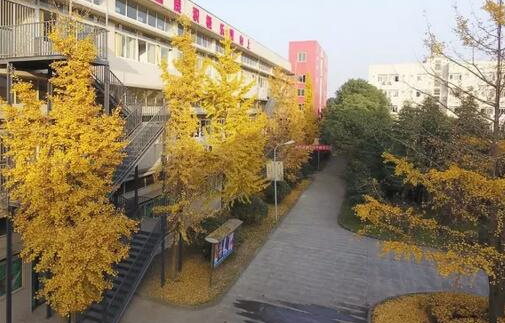 2023成都國(guó)演藝術(shù)學(xué)校開(kāi)設(shè)的專業(yè)一覽表