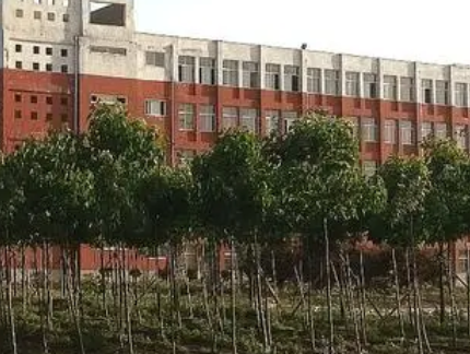 2023周口市聯(lián)營(yíng)職業(yè)中等專(zhuān)業(yè)學(xué)校招生計(jì)劃 招生人數(shù)是多少(附要求、條件、對(duì)象)