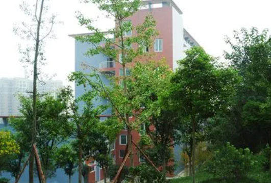 2023德陽民辦電子商務(wù)學(xué)校有哪些 德陽民辦電子商務(wù)學(xué)校名單一覽表