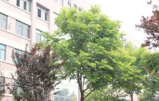 2023陜西民辦汽修學(xué)校有哪些 陜西民辦汽修學(xué)校名單一覽表