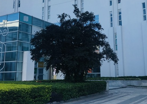 汕頭市科技應(yīng)用職業(yè)技術(shù)學(xué)校地址，乘車路線