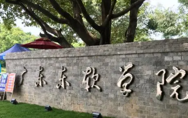 廣東東軟學(xué)院什么專業(yè)好，廣東東軟學(xué)院專業(yè)排名