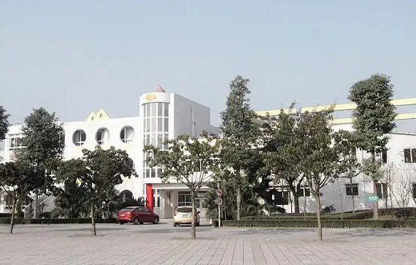 2023成都公辦室內(nèi)設(shè)計學校有哪些 成都公辦室內(nèi)設(shè)計學校名單一覽表