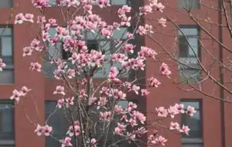 濰坊豪邁科技職業(yè)中等專業(yè)學(xué)校地址，乘車路線